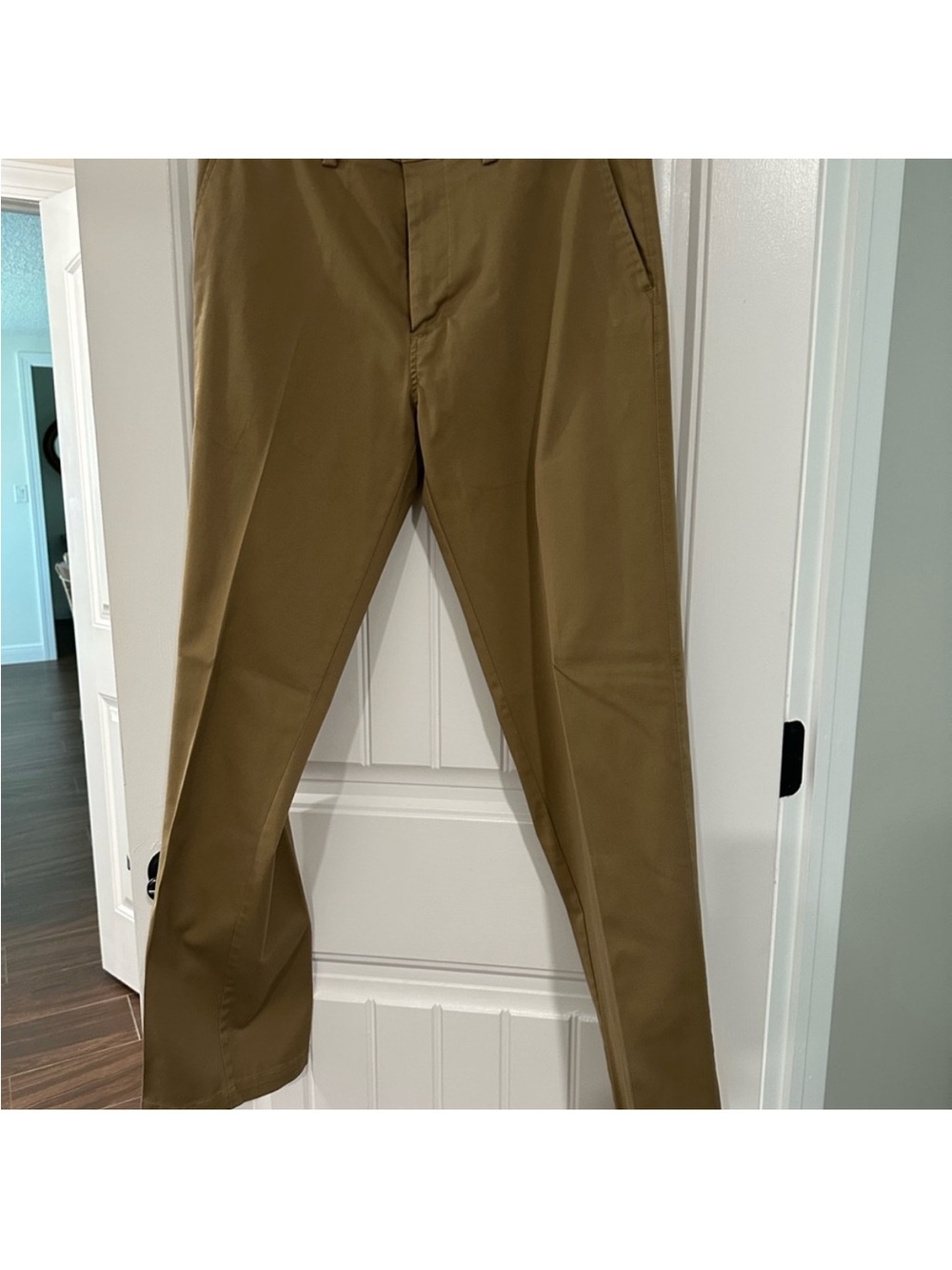 Haggar Chino Pants in Olive